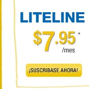 Un nmero para que suene en todos sus telfonos, ms llamadas Pay As You Go
a cualquier parte del mundo.